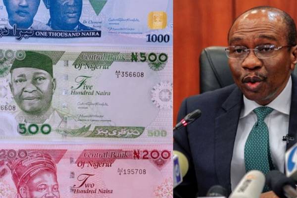 Expert on Cashless Policy