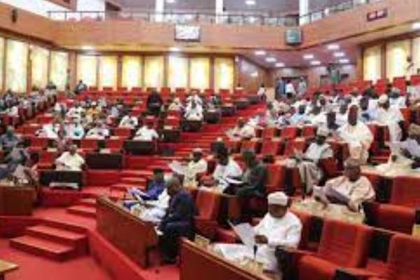 SENATE ON CASHLESS POLICY