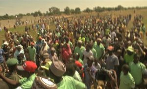 Katsina begins implementation of MoU with Korean partners to boost rice production