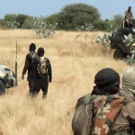 Boko Haram, ISWAP clash claims 30 terrorists in Borno