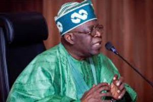 Support group intensifies efforts to mobilise for Tinubu in Adamawa