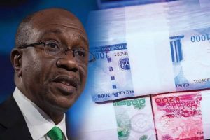 EXPERT ON NAIRA REDESIGN