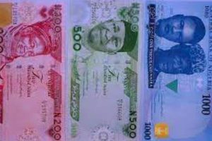EXPERT ON NEW NAIRA NOTES