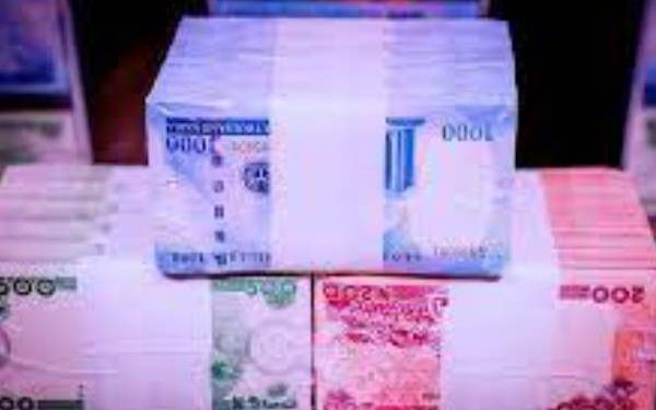 EXPERT CHARGES CBN TO IMPROVE ON DISTRIBUTION, LOGISTICS FOR NEW NAIRA NOTES