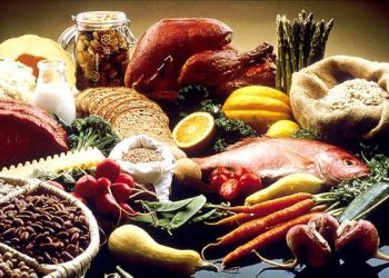LAGOS GOVERNMENT HAS DONE WELL IN FOOD PRODUCTION - EXPERT