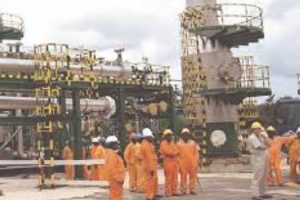 ECONOMIST ON SUBSIDY