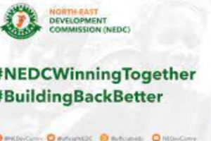 NEDC ON MEDICAL PROFESSIONALS