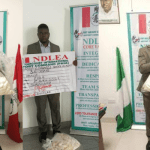 NDLEA arrests South American with 9.9kg cocaine concealed in condoms