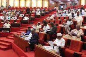 SENATE ON PEACE CORPS