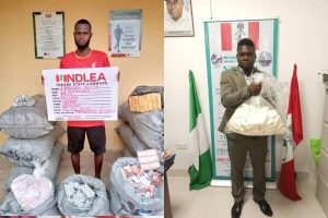 NDLEA ARRESTS SURINAMESE