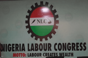 NLC ON STAT OF THE NATION