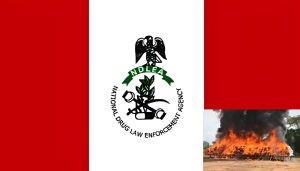 NDLEA Destroys Drugs Seized from 2008-2022 in Enugu