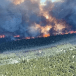 Wildfires force thousands to evacuate homes in Western Canada
