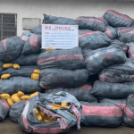 NDLEA seizes 8,852kg illicit drugs in Lagos after gun duel with armed men