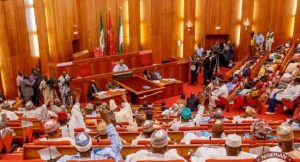 North Eastern Youths advise APC on Senate Presidency