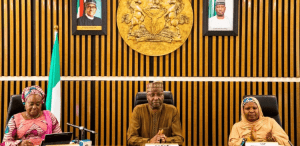 Presidential transition council disowns programme of events in circulation