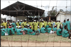 Zimbabwe frees prisoners