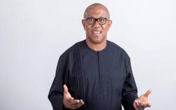 Peter Obi makes representation for himself and Labour Party.