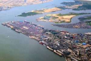 ACTIVISTS ON ENVIRONMENT