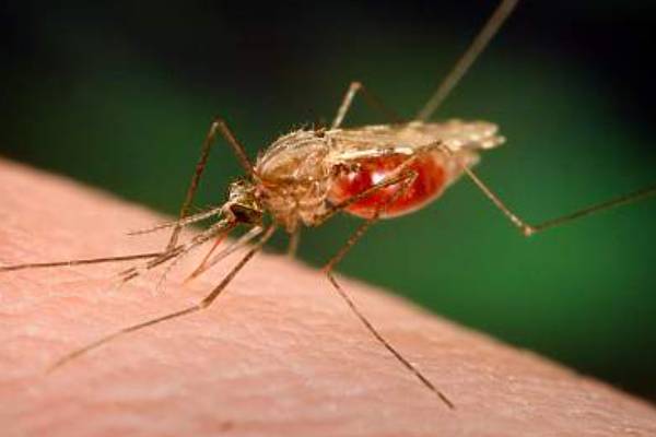 New Project – 2023-06-25T124930.020