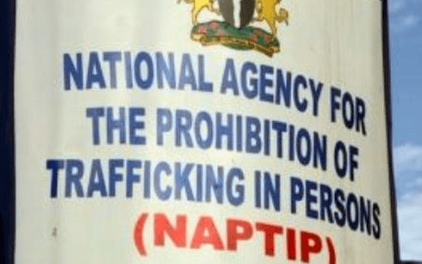 NAPTIP urges Nigerians to support fight against Human Trafficking