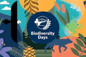 ENVIRONMENTAL SUSTAINABILITY