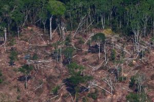 New Project – 2023-07-07T134735.750