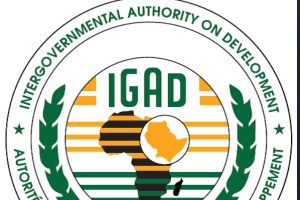 New Project – 2023-07-10T150947.883