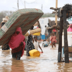 Small businesses threatened by torrential rainfall in Niger
