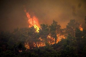 New Project – 2023-07-26T170320.405