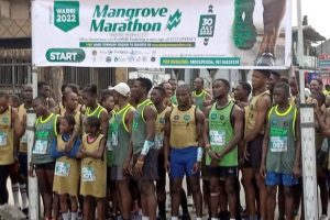 New Project – 2023-07-31T132401.625