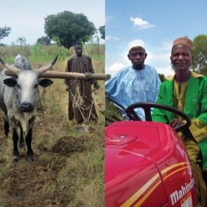 4d69f446-6693-4383-8ec8-9d5564ab3454