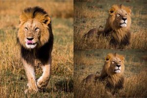 Navigating Nigeria’s Hike in Pump Price_ Embracing (9)