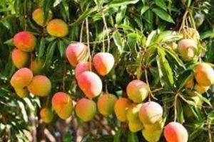 New Project – 2023-08-07T173947.534