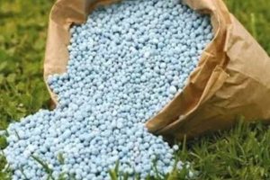 New Project – 2023-08-20T165209.011