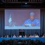 BRICS summit: Nigeria committed to strengthening global framework for int'l issues- Shettima