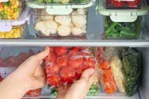 New Project – 2023-08-27T172207.443