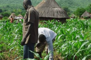 New Project – 2023-08-28T213934.407