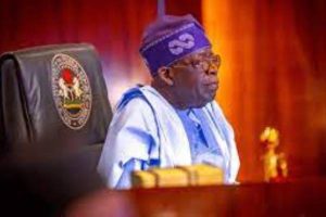 SWAGA urges Nigerians to be patient with President Tinubu