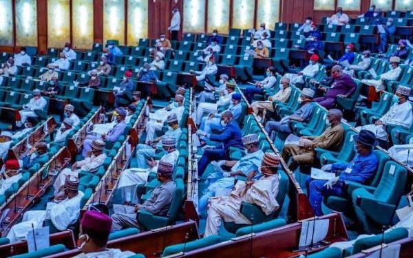 NLC Member Lied About N100 Million Palliative – House Of Reps