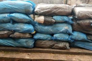 New Project – 2023-09-17T154019.181