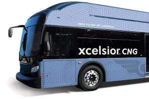 New Project – 2023-10-03T151710.402