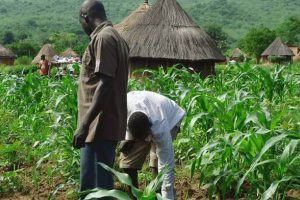 New Project – 2023-10-03T153720.505