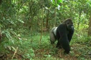 New Project – 2023-10-04T144100.051