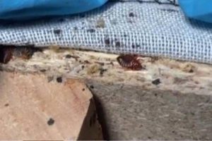 New Project – 2023-10-04T182352.481