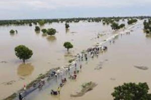 New Project – 2023-10-04T225211.674