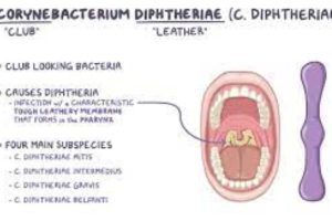 New Project – 2023-10-10T205439.017