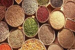 New Project – 2023-10-16T174526.827