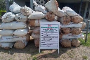 New Project – 2023-10-22T132120.482