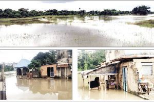 New Project – 2023-10-23T120807.343